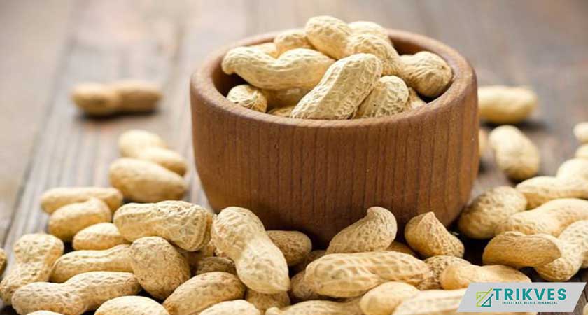 37. Kacang Kulit Sebagai Usaha Makanan Ringan Serba 1000