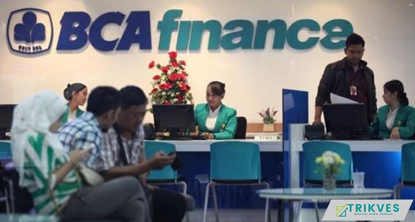 Daftar Pengalaman Kerja di BCA Finance